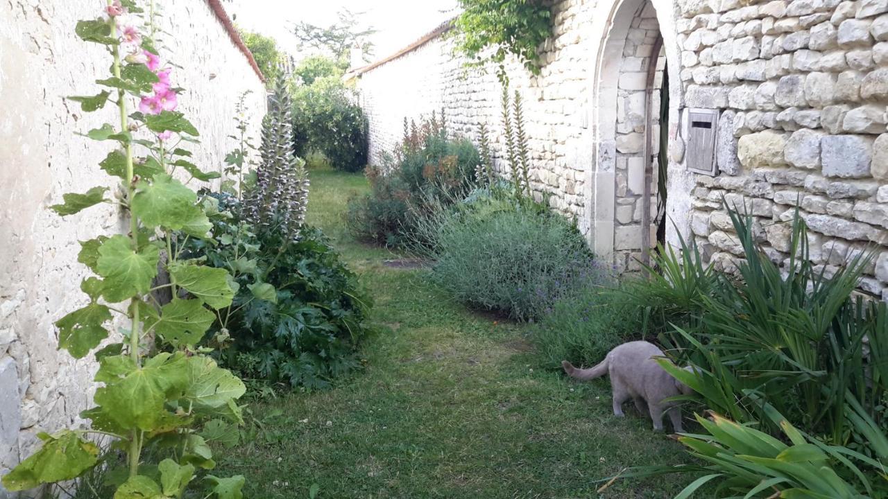 Les Jardins De Clerjotte Bed & Breakfast Saint-Martin-de-Ré Exterior foto